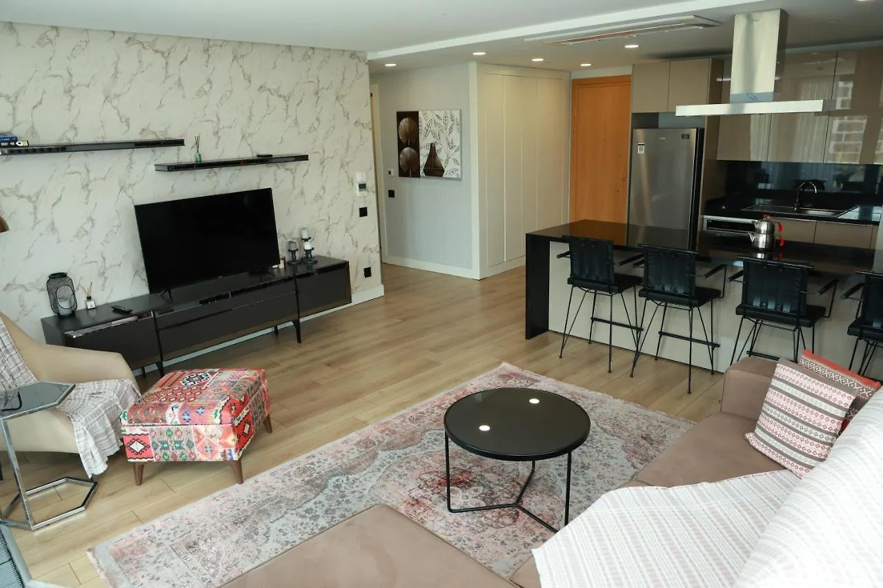 Lovely Two Bedroom Appartment Istanbul Apartment